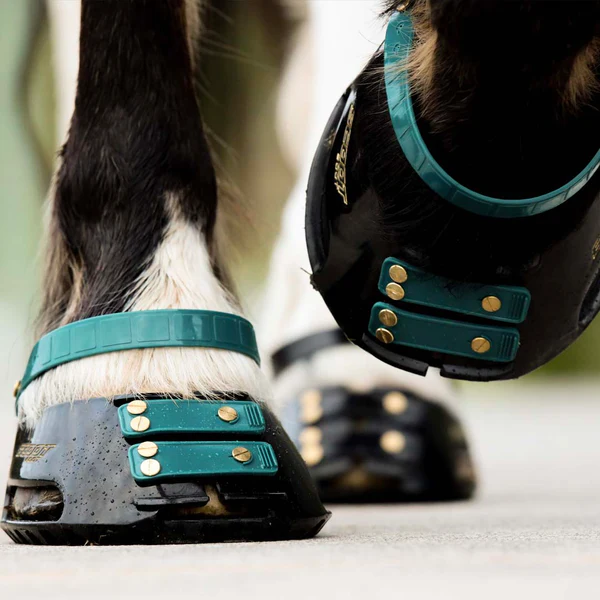 Picture of Front Strap Pack