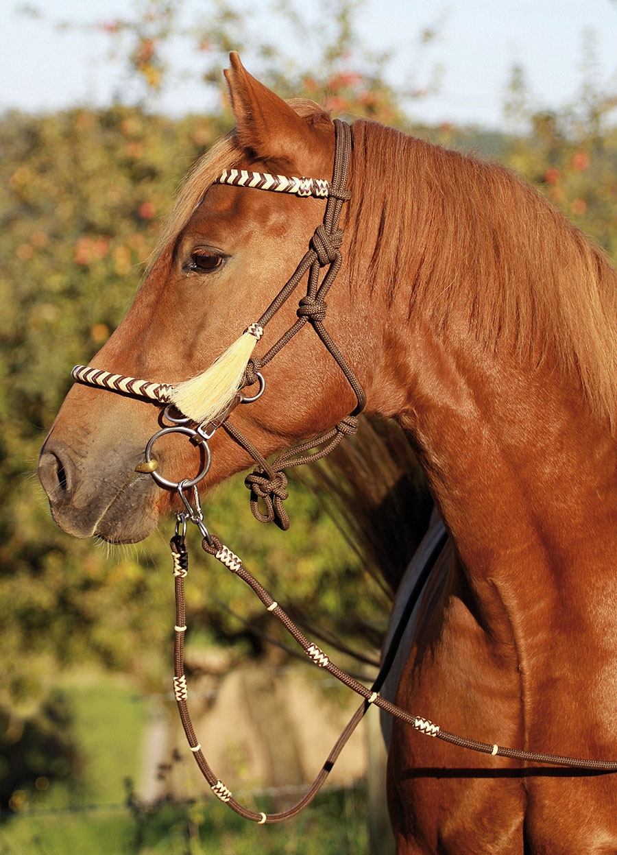 Picture of Riding Halter 3-in-1 'Seneca'