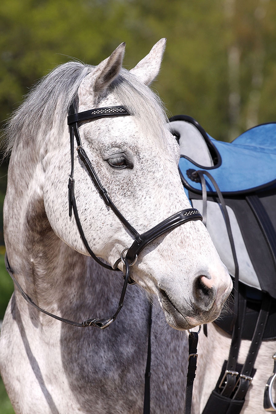 Picture of Barefoot® 'Contour Jewel' Bridle