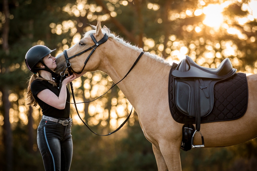 Picture for category Dressage Saddles