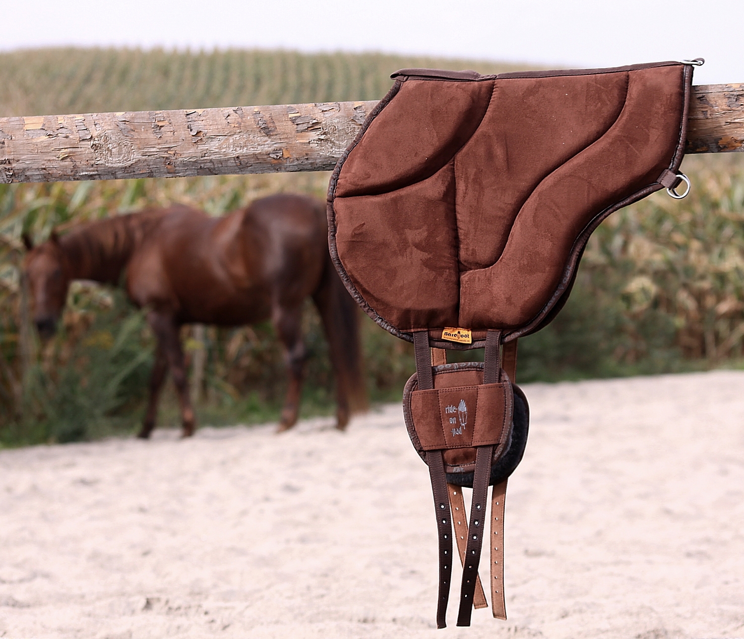 Picture for category Ride-On/Bareback Pads