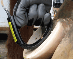Picture for category Hoof Care